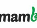 Tamambet-logo